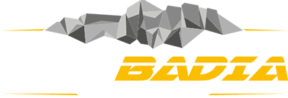 Logo taxi badia
